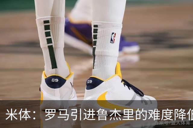 米体：罗马引进鲁杰里的难度降低，球员为了主力位置愿意投奔加帅